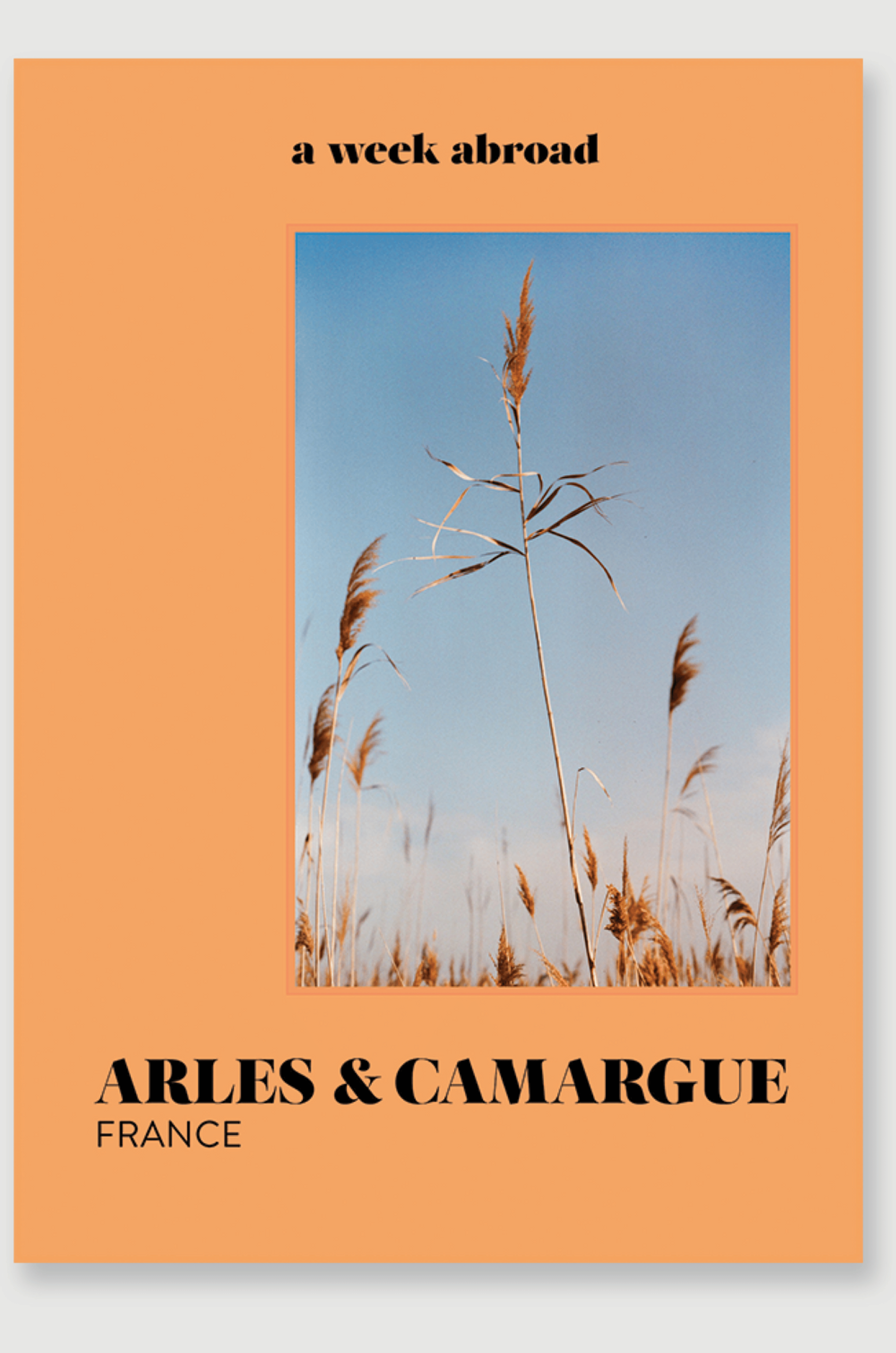 ~ Arles & Camargue