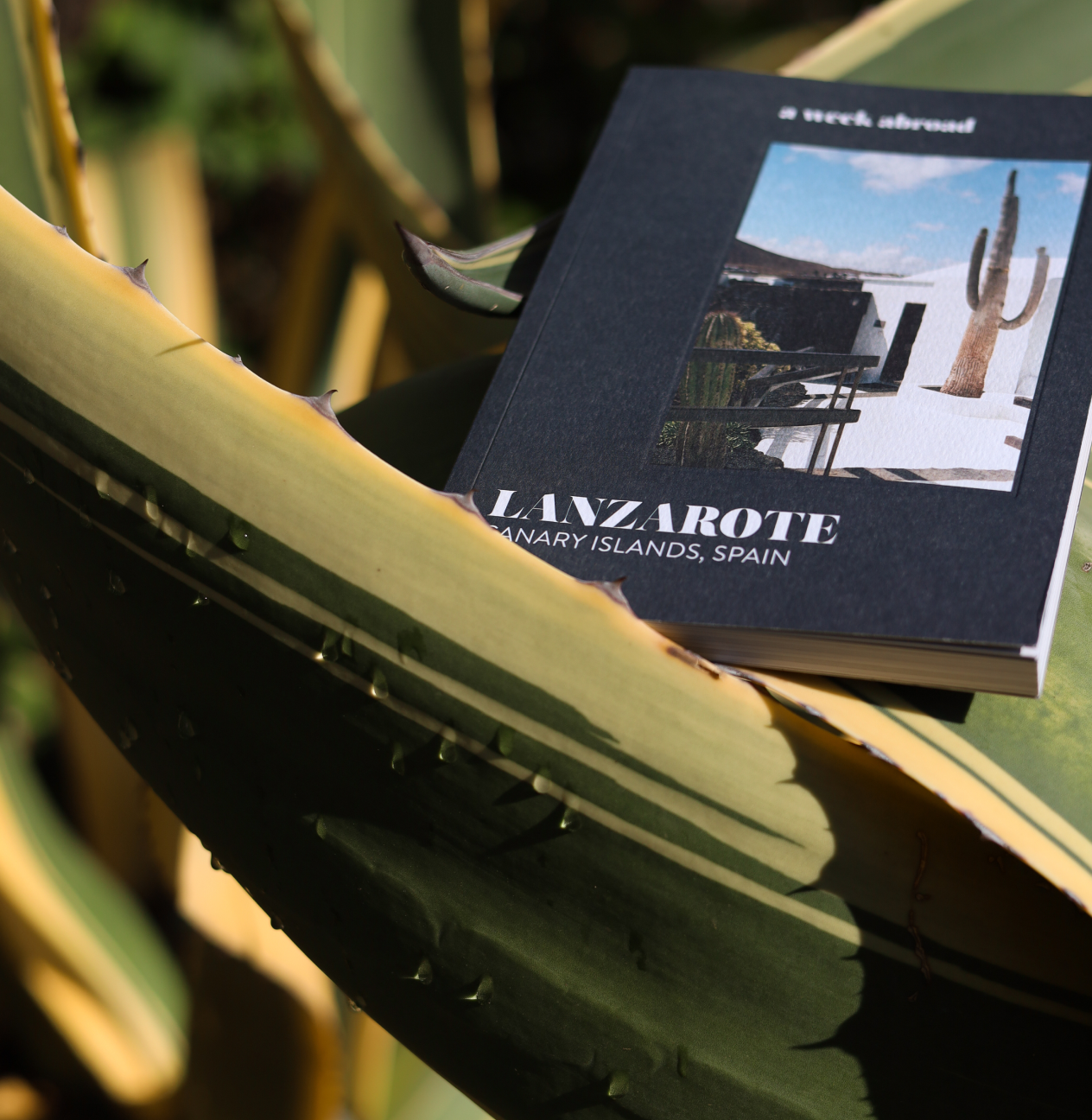 A Week Abroad ~ Lanzarote